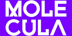 Molecula