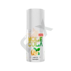 Molecula Leggo - Мята Лимон