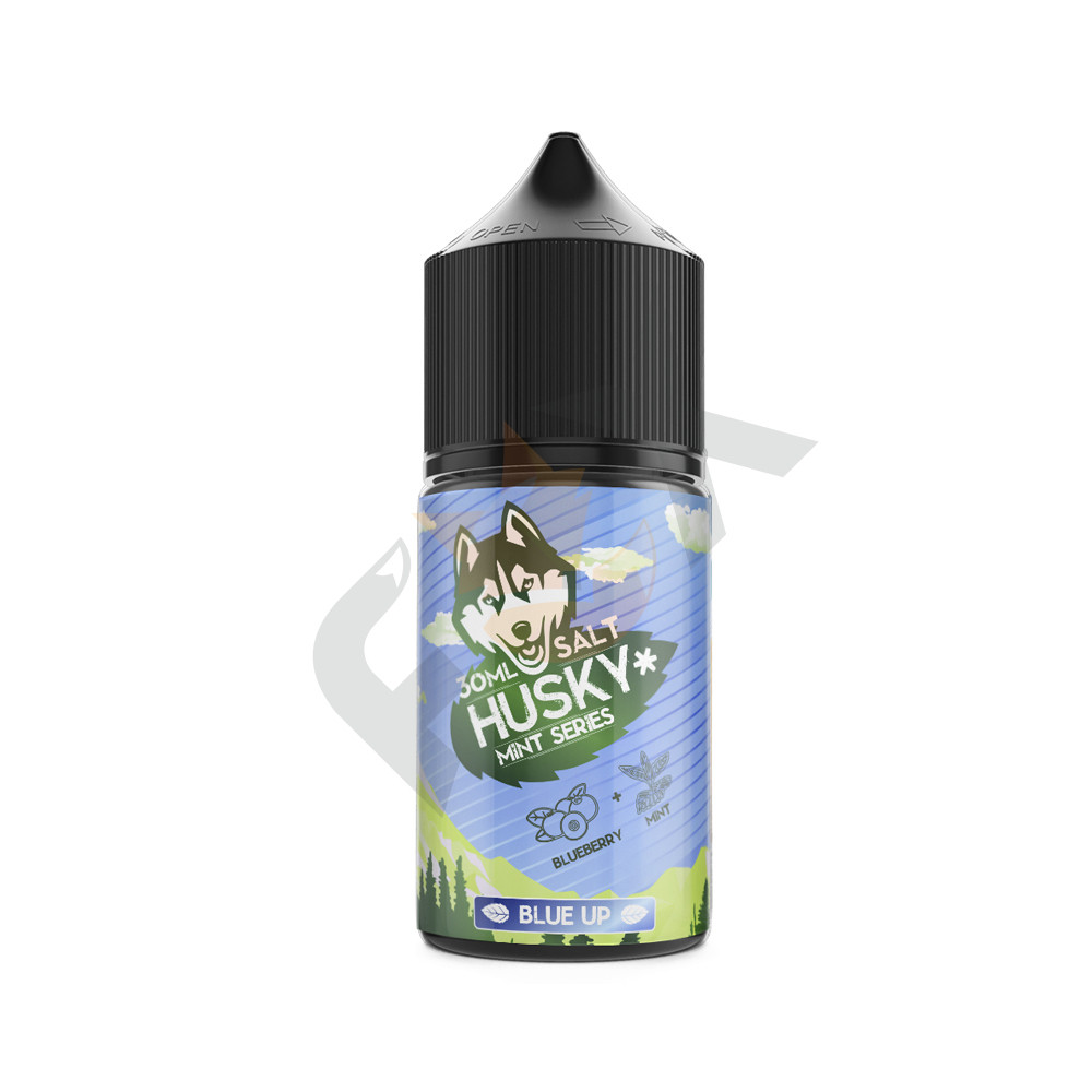 Husky Mint Series Salt - Blue Up 20 Strong